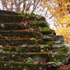 Herbst in Sanspareil