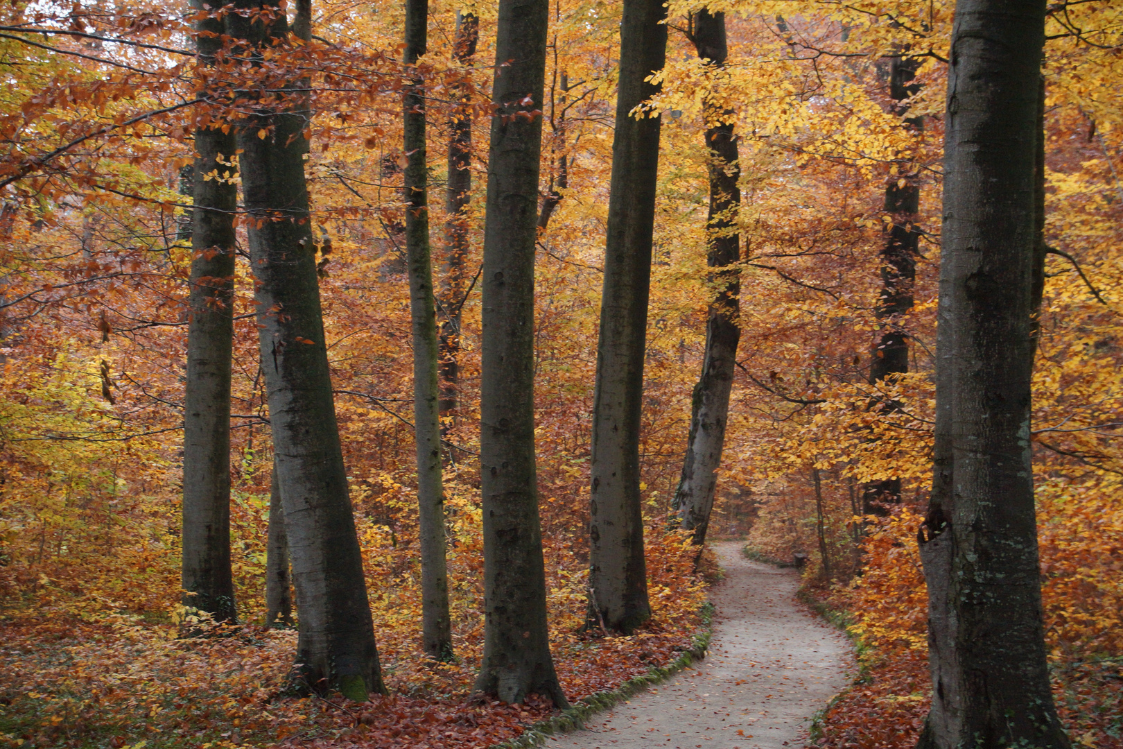 Herbst in Sanspareil 2