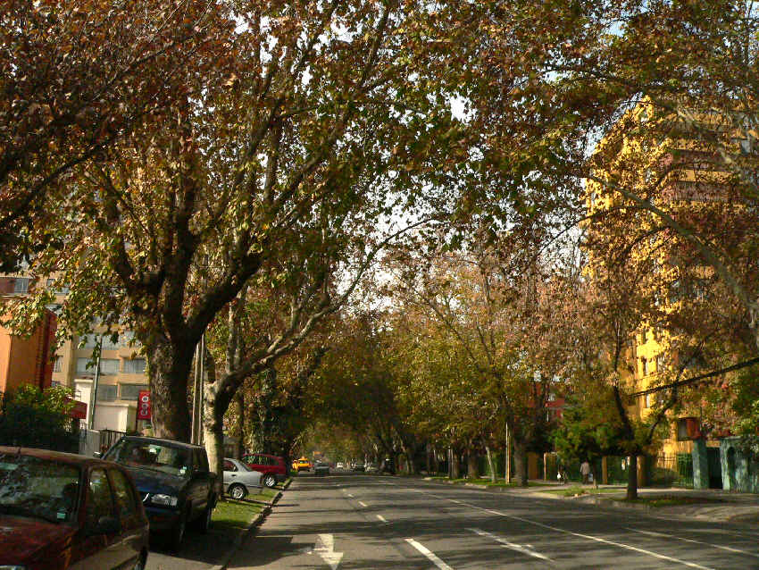 Herbst in Santiago