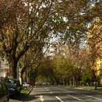 Herbst in Santiago