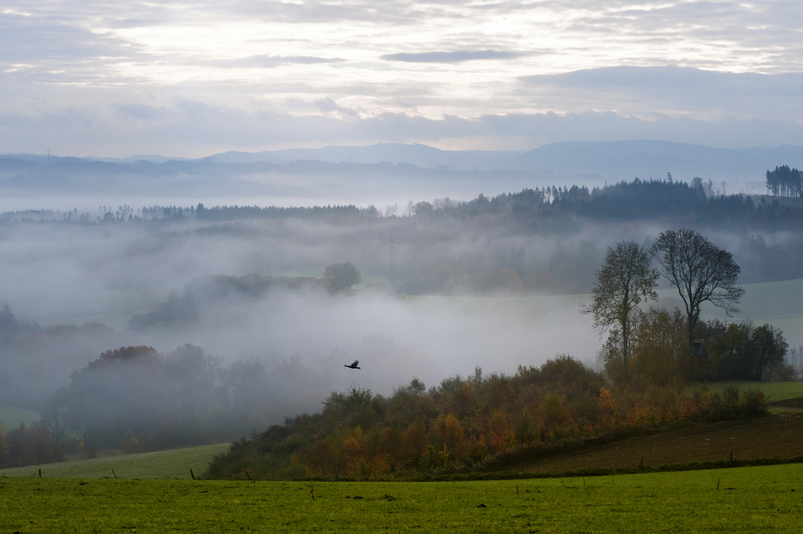 Herbst in Sauerland