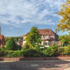 Herbst in Schaafheim-Mosbach