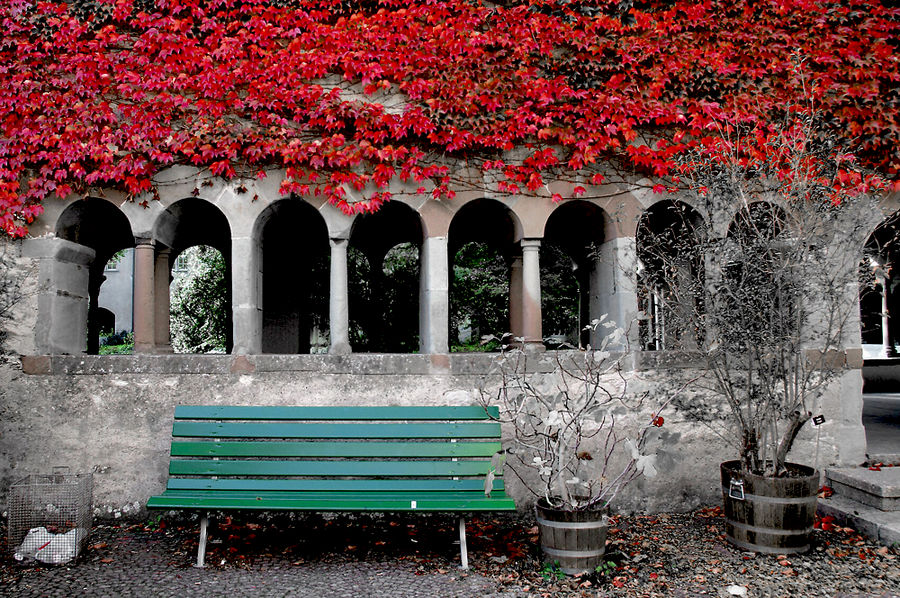 Herbst in Schaffhausen