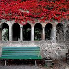 Herbst in Schaffhausen