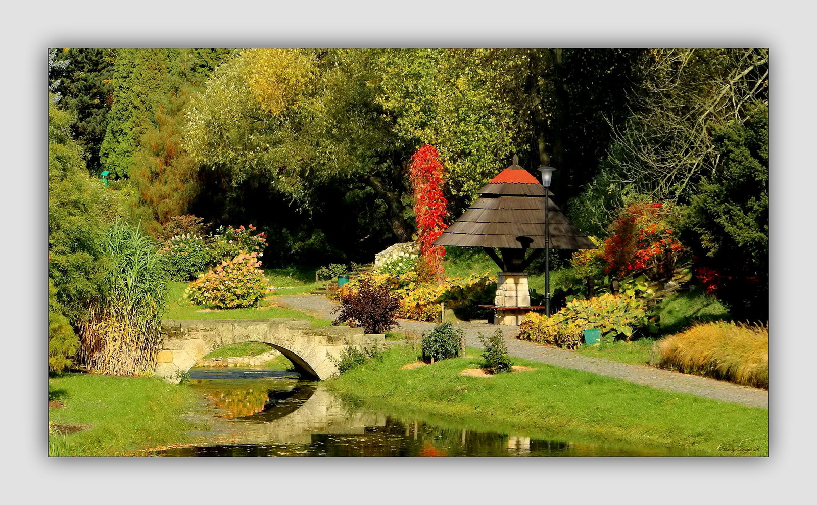 Herbst in Schlesische Park  Chorzów (Königshütte)