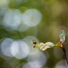 Herbst in Schleswig-Holstein