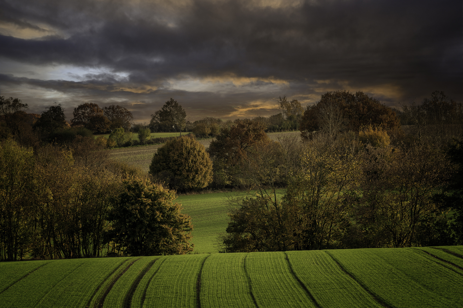 Herbst in Schleswig Holstein