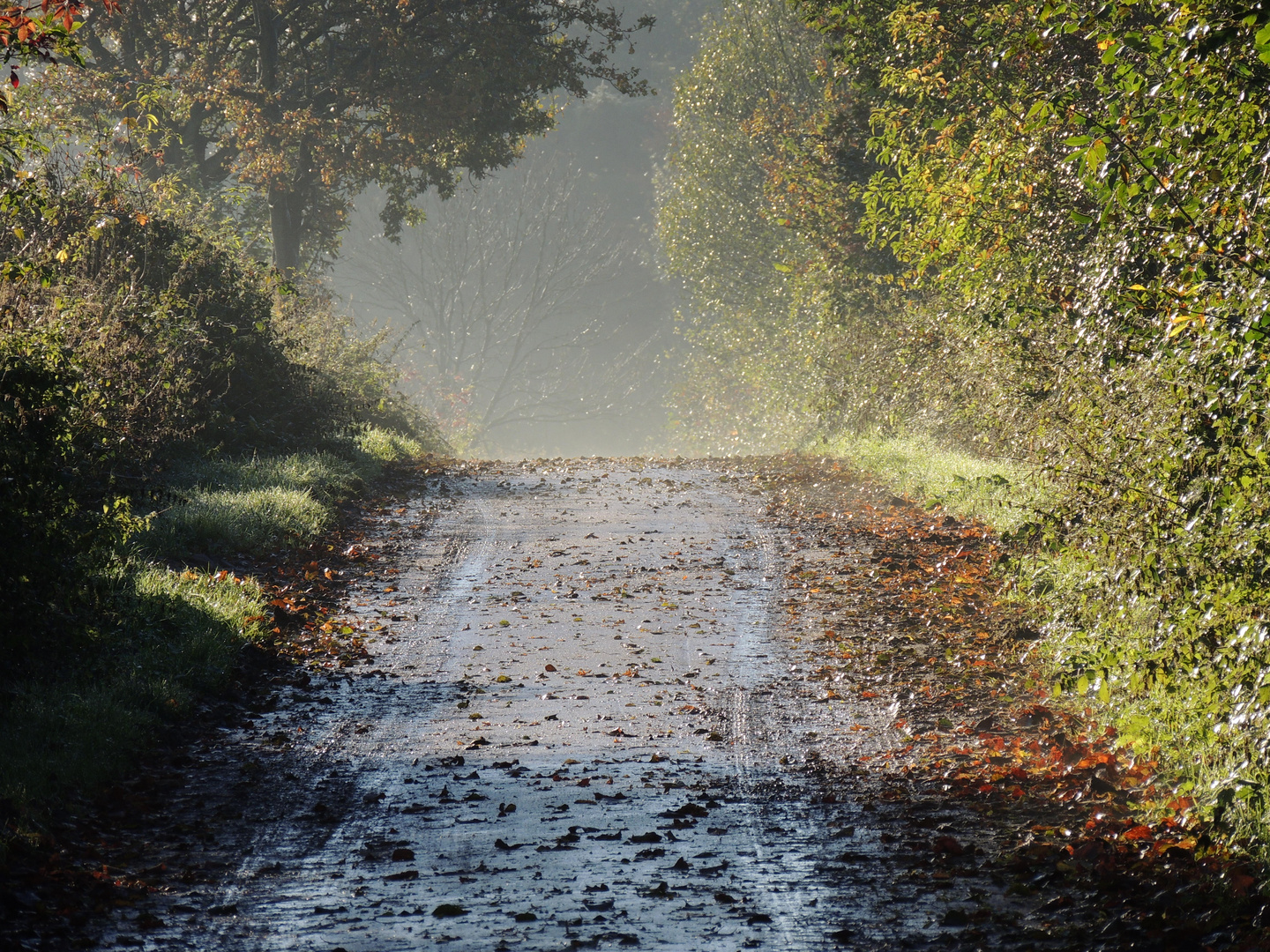 Herbst in Schleswig-Holstein