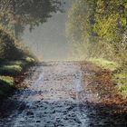 Herbst in Schleswig-Holstein