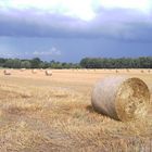 Herbst in Schleswig-Holstein