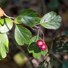 Herbst in Schleswig-Holstein