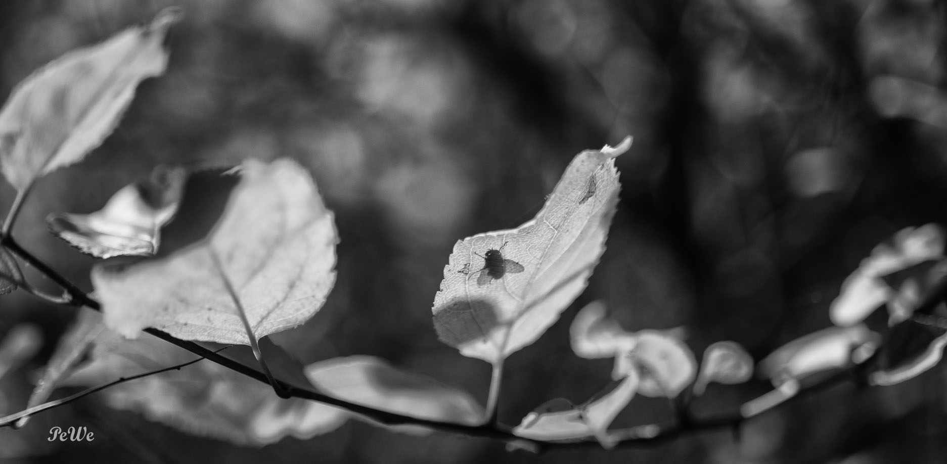 Herbst in Schleswig-Holstein