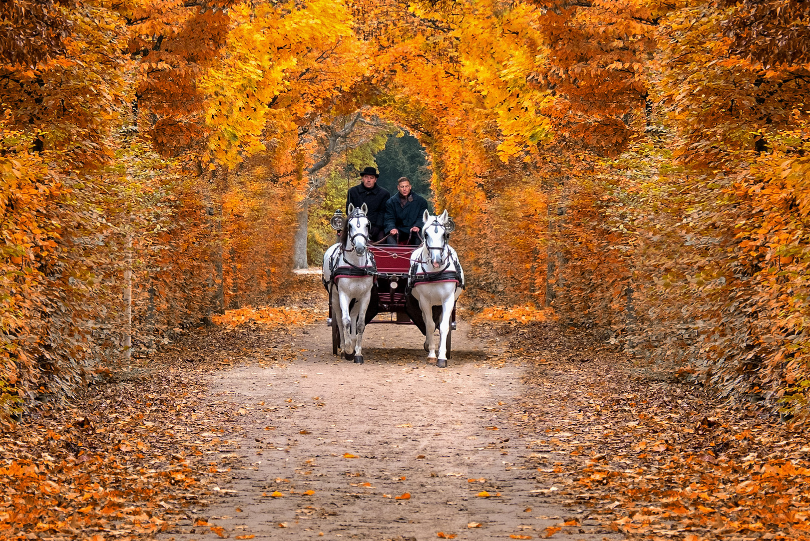 Herbst in Schönbrunn