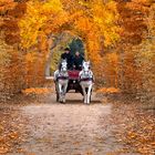 Herbst in Schönbrunn