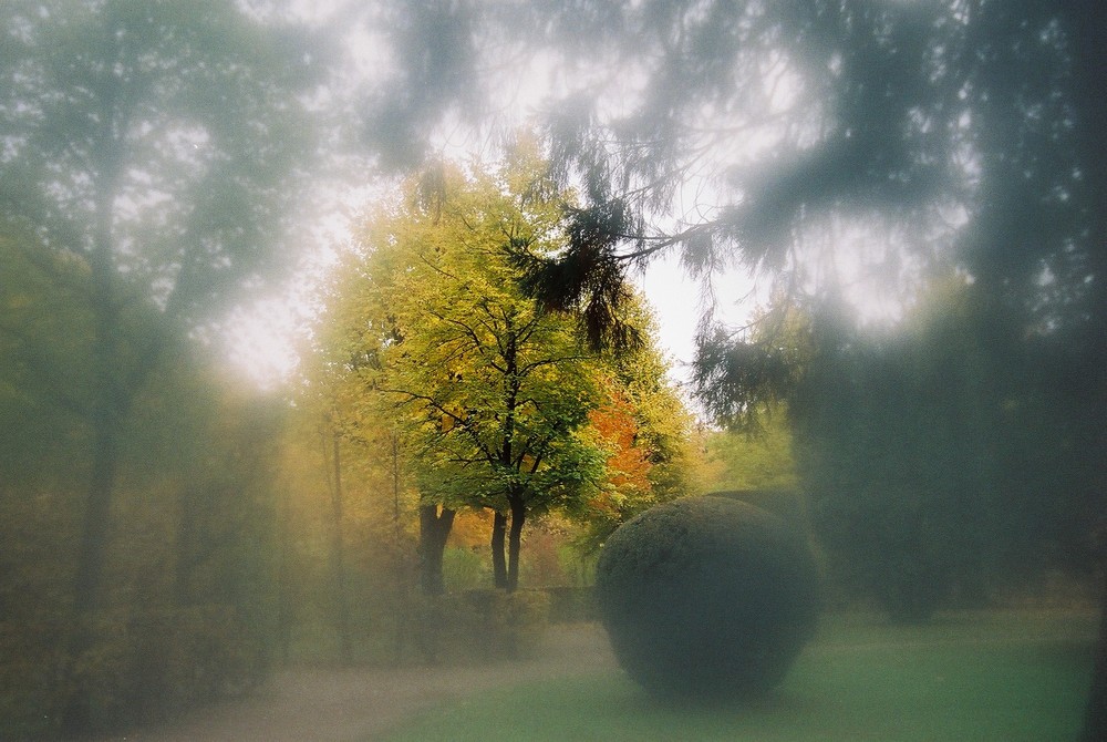 Herbst in Schönbrunn