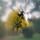 Herbst in Schönbrunn