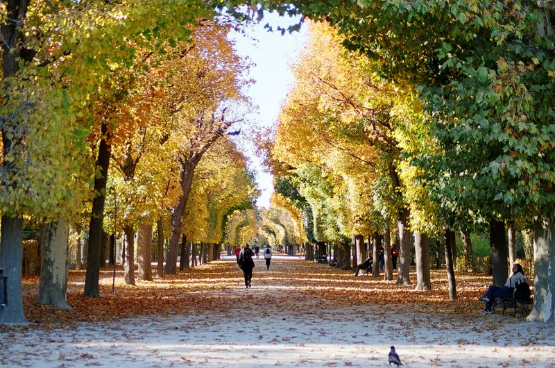 Herbst in Schönbrunn