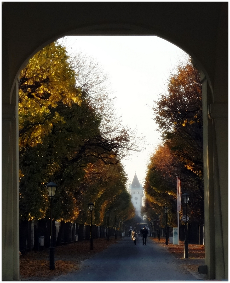 Herbst in Schönbrunn