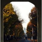 Herbst in Schönbrunn