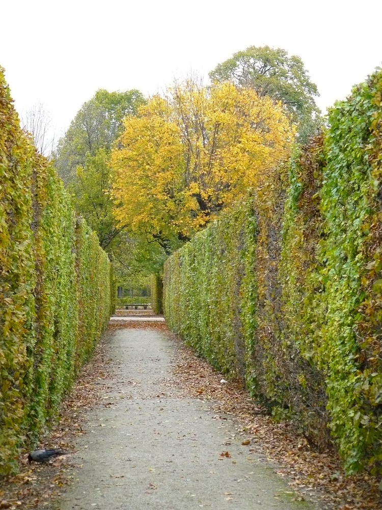 Herbst in Schönbrunn_4