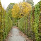 Herbst in Schönbrunn_4