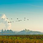 Herbst in Schophoven