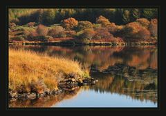 Herbst in Schotttland