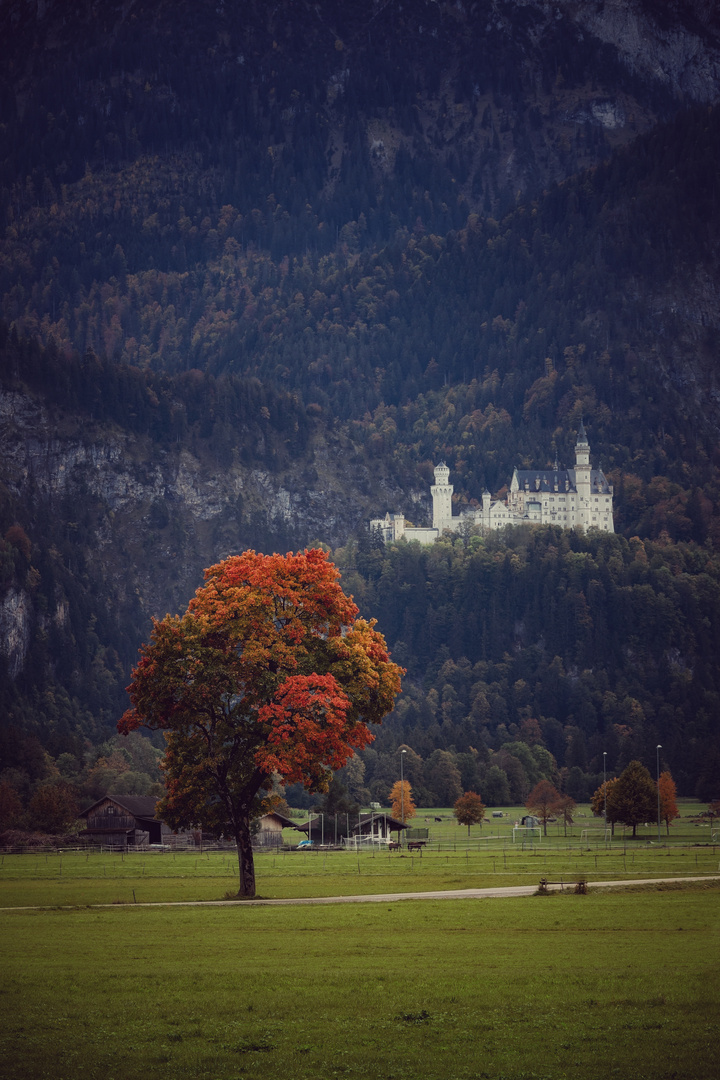 Herbst in Schwangau 