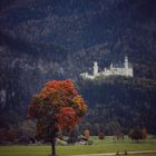 Herbst in Schwangau 