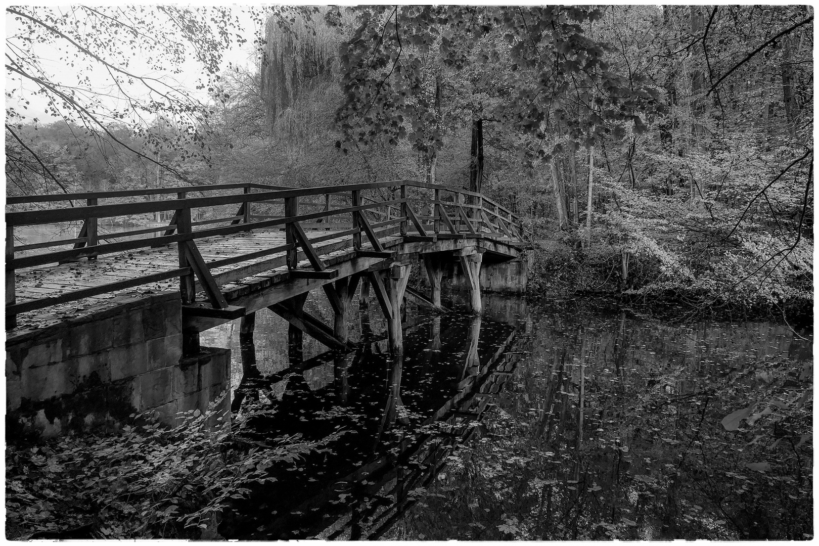 Herbst in Schwarz-Weiss