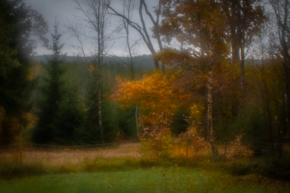 Herbst in Schweden