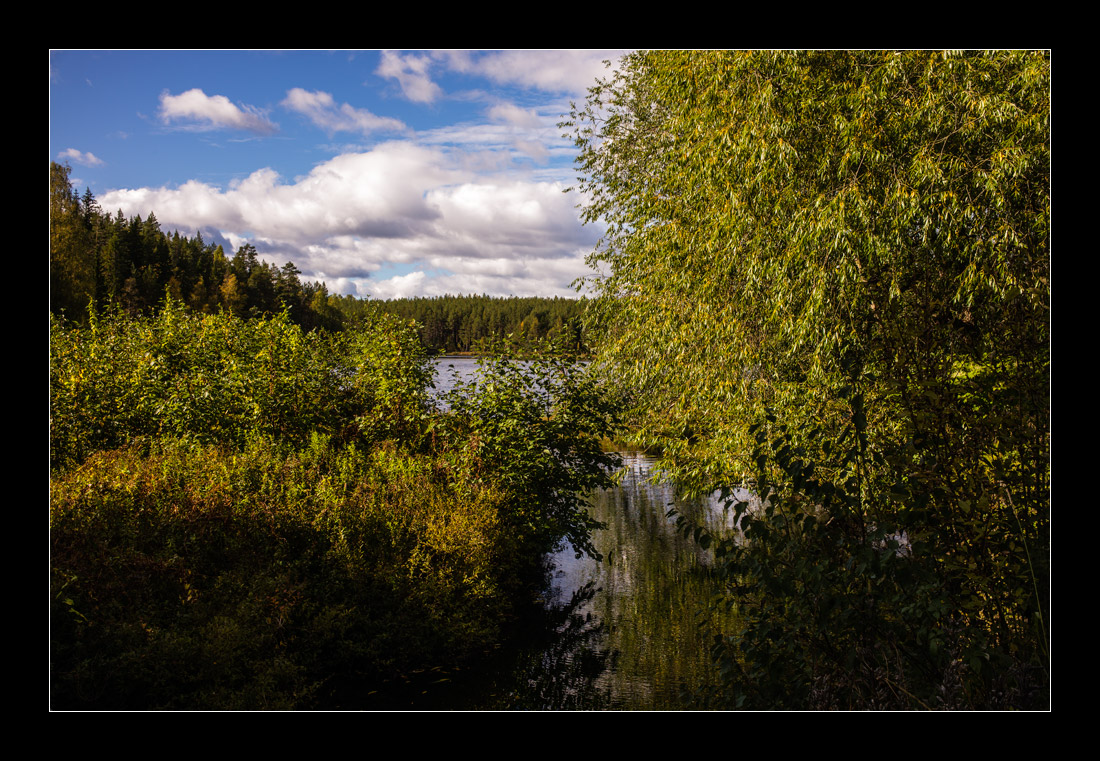 Herbst in Schweden *1