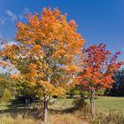 Herbst in Schweden