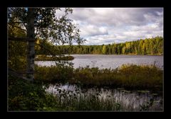 Herbst in Schweden *2