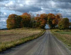 Herbst in Schweden