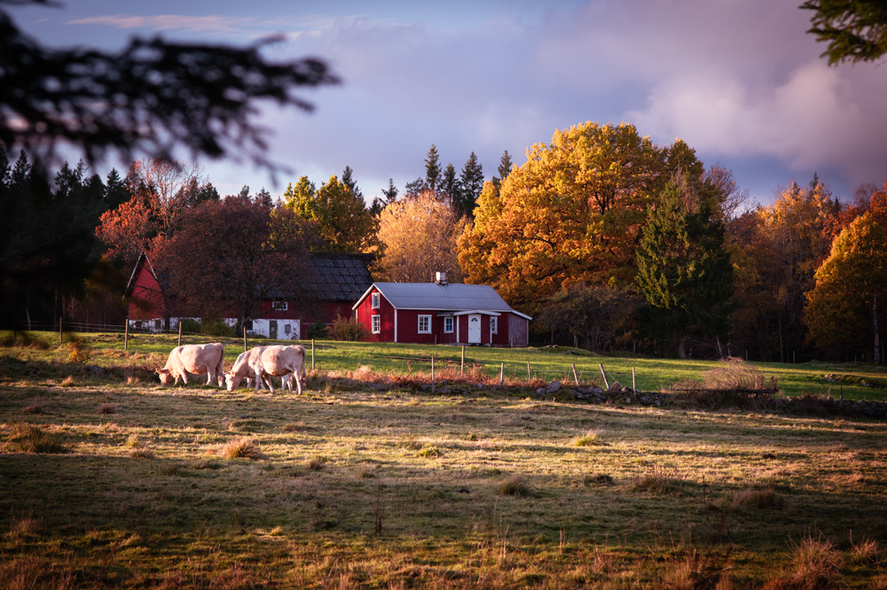 Herbst in Schweden