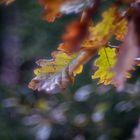 Herbst in Schweden