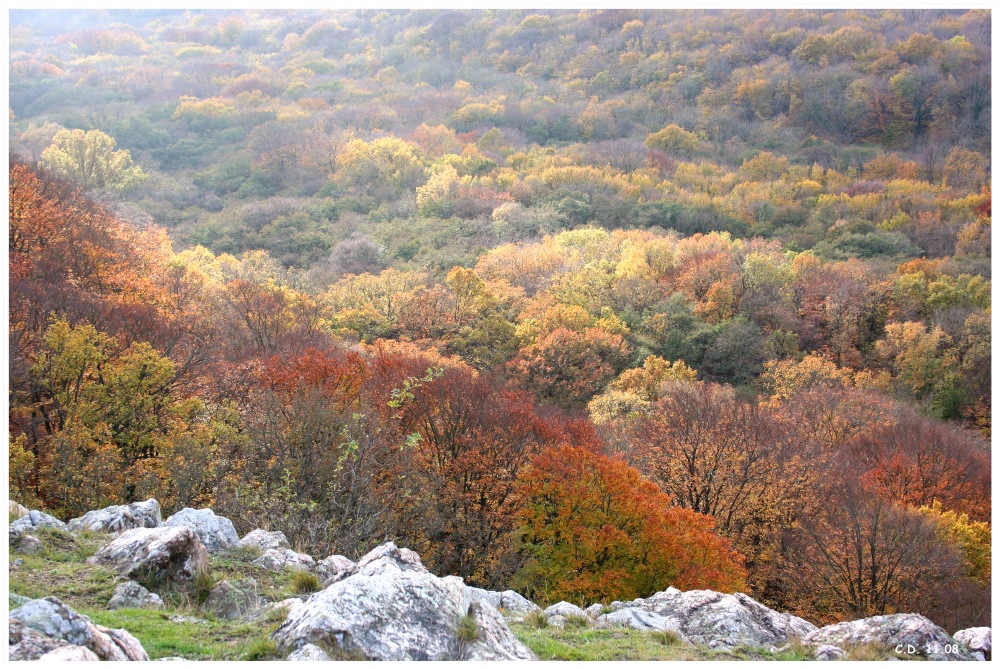 Herbst in Schweden II.