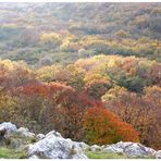 Herbst in Schweden II.