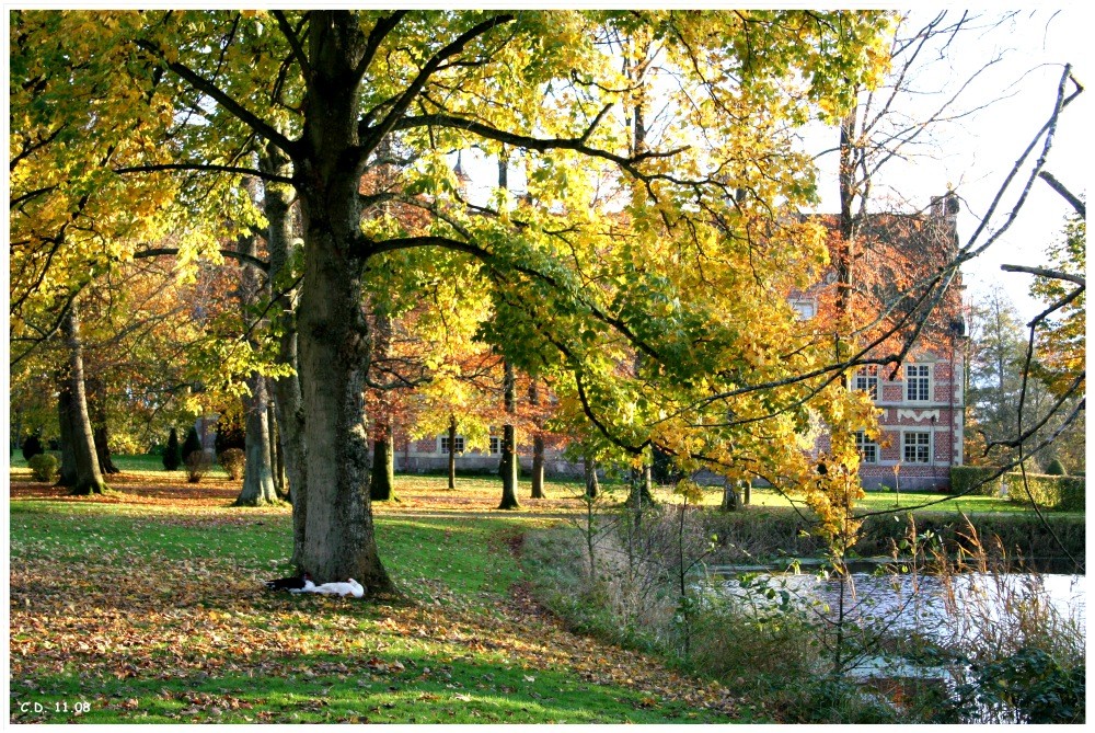 Herbst in Schweden III.