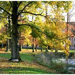 Herbst in Schweden III.