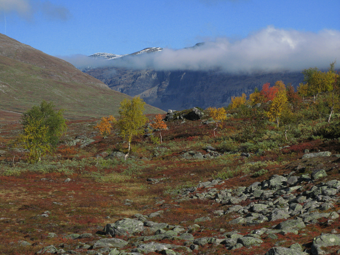 Herbst in Schwedisch Lappland