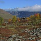 Herbst in Schwedisch Lappland
