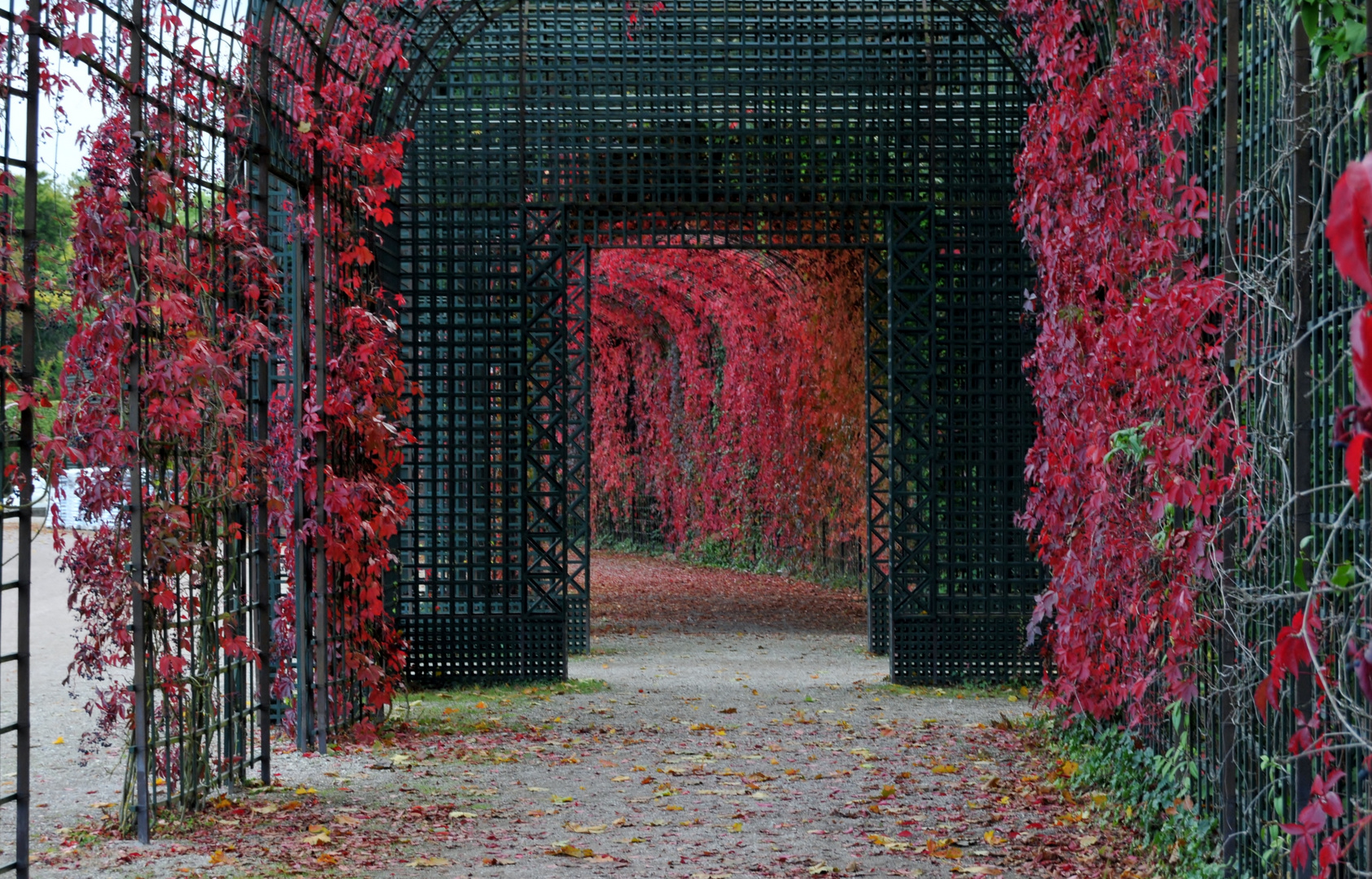 Herbst in Schwetzingen