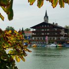 Herbst in Seebruck