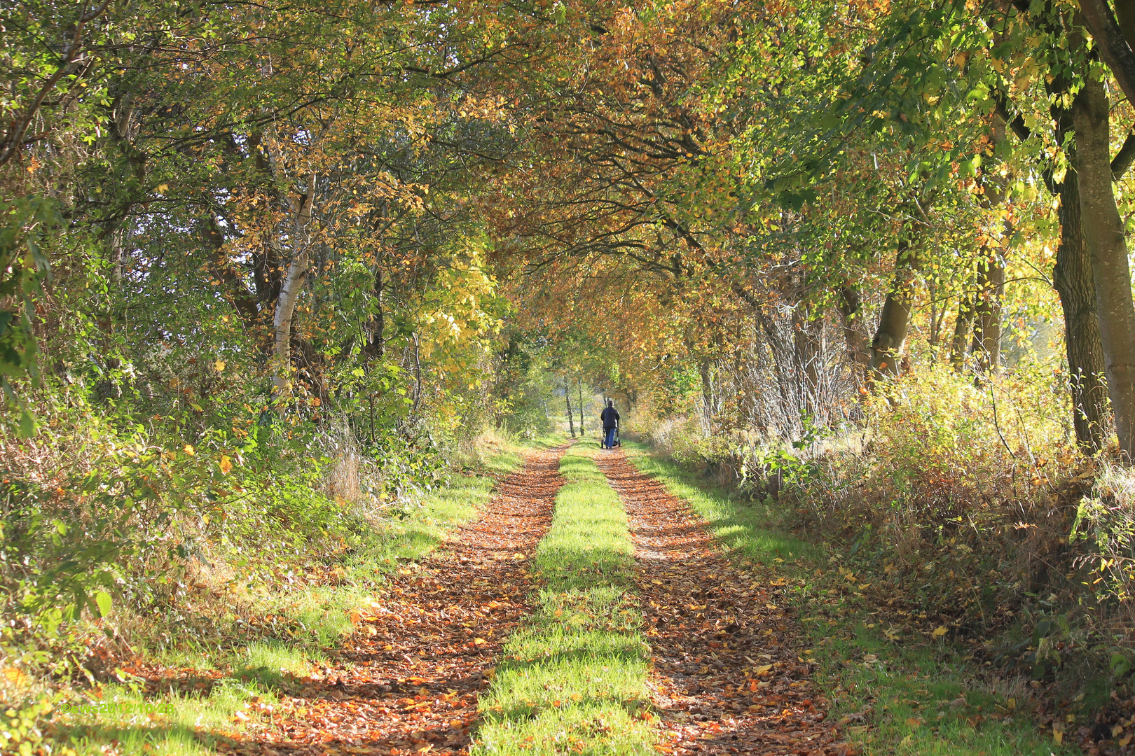 Herbst in Seeth