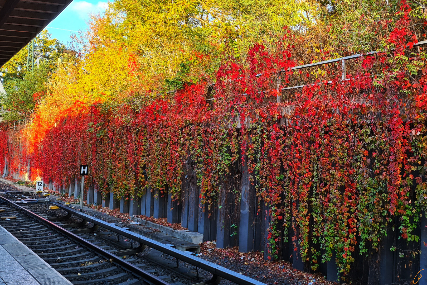 Herbst in seinen schönen Farben