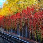 Herbst in seinen schönen Farben