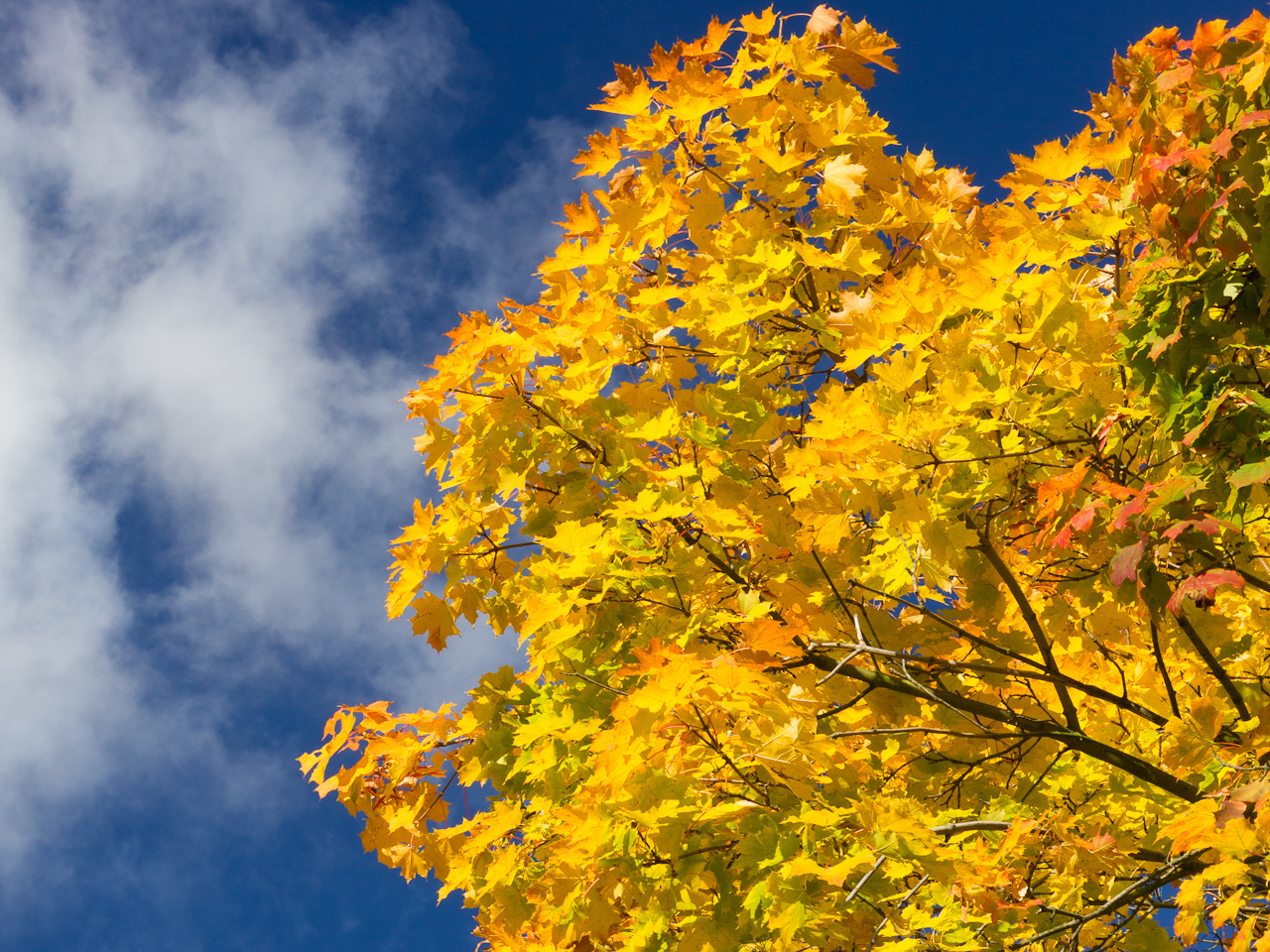 Herbst in seinen schönsten Farben