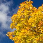 Herbst in seinen schönsten Farben